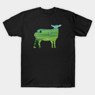 A Yorkshire Sheep T-Shirt